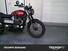 Triumph Scrambler 900 (2023 - 24) (8)