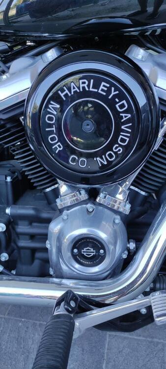 Harley-Davidson Softail Standard (2020) - FXST (5)