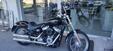 Harley-Davidson Softail Standard (2020) - FXST (6)