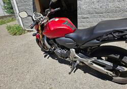 Honda Hornet 600 (2007 - 10) usata