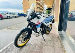 Honda Transalp XL750 (2023 - 24) usata