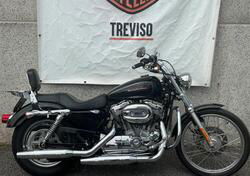 Harley-Davidson 883 Custom (2008 - 12) - XL 883C usata