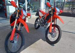 Honda CRF 300 L (2021 - 24) nuova