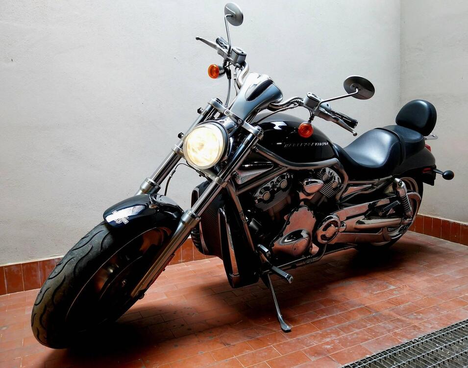 Harley-Davidson 1130 V-Rod (2002 - 05) - VRSCA (2)