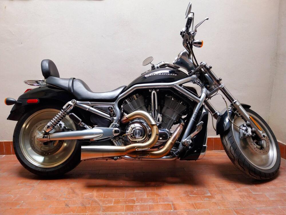 Harley-Davidson 1130 V-Rod (2002 - 05) - VRSCA (3)