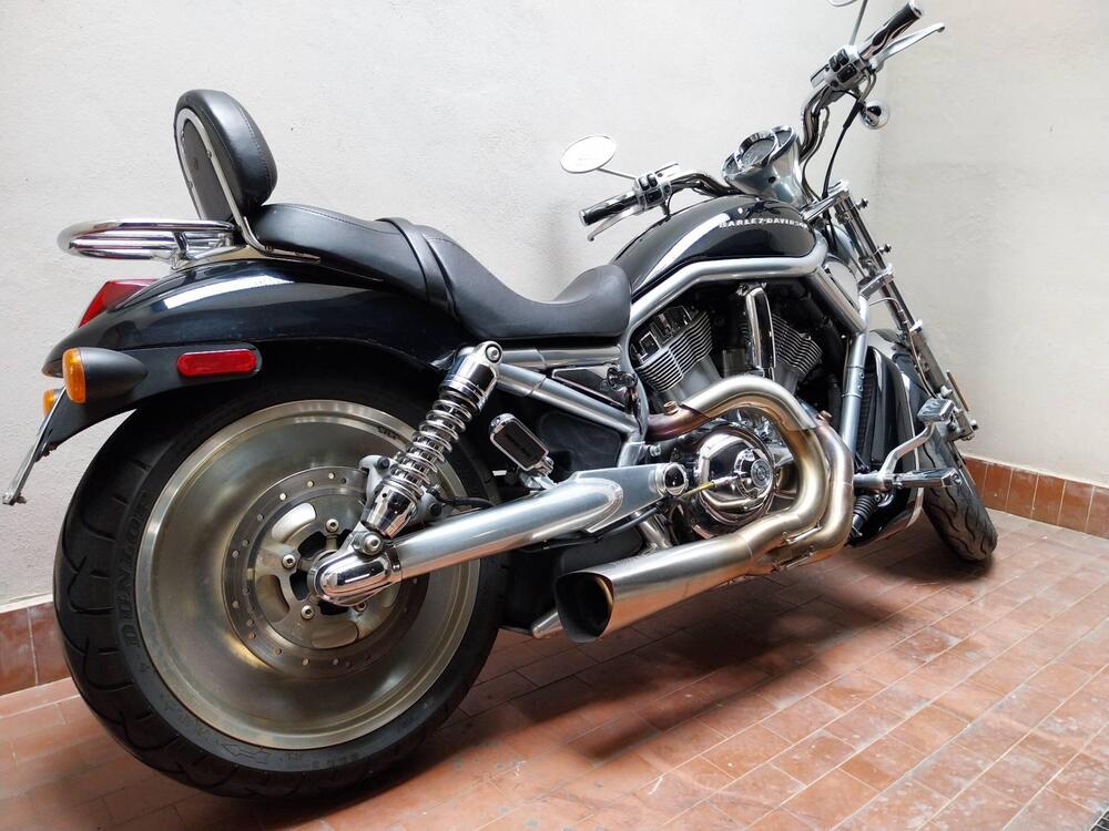 Harley-Davidson 1130 V-Rod (2002 - 05) - VRSCA (4)