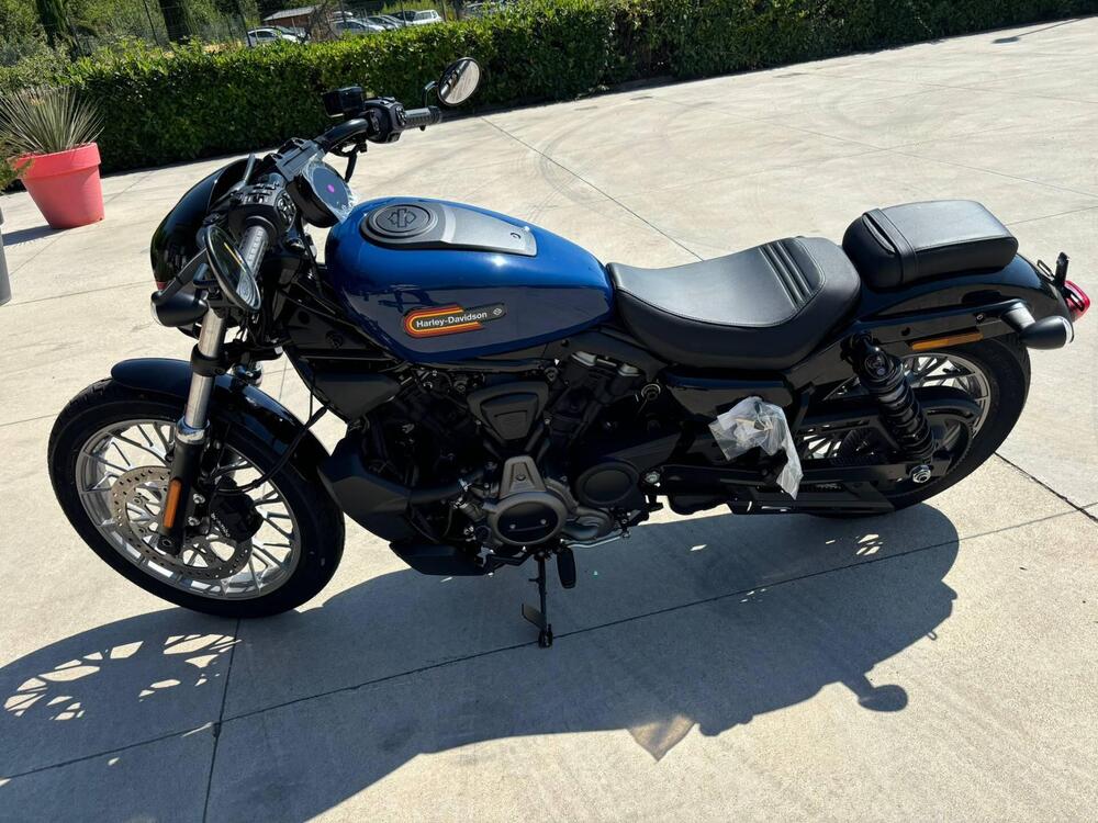 Harley-Davidson Nightster Special (2023 - 24)