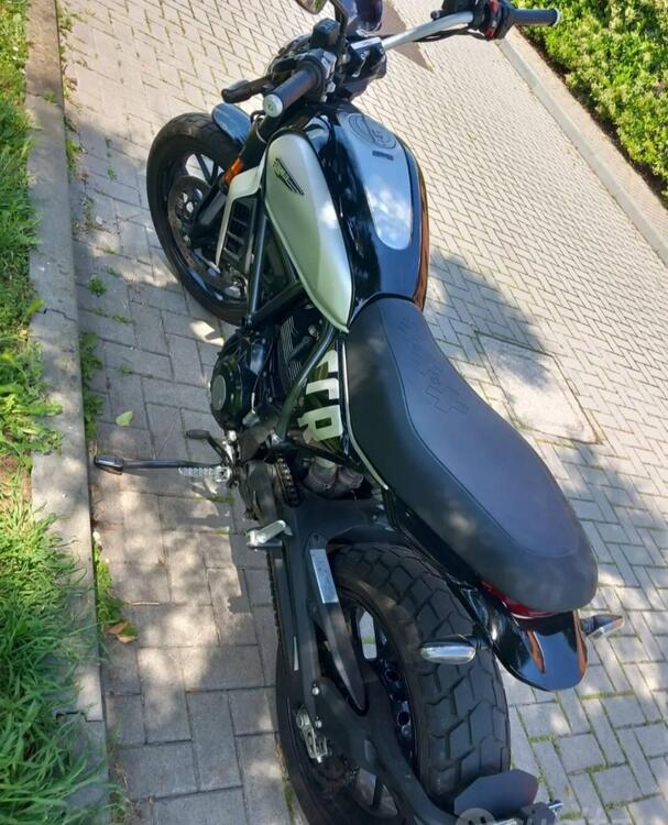 Ducati Scrambler 800 Icon (2023 - 24) (4)