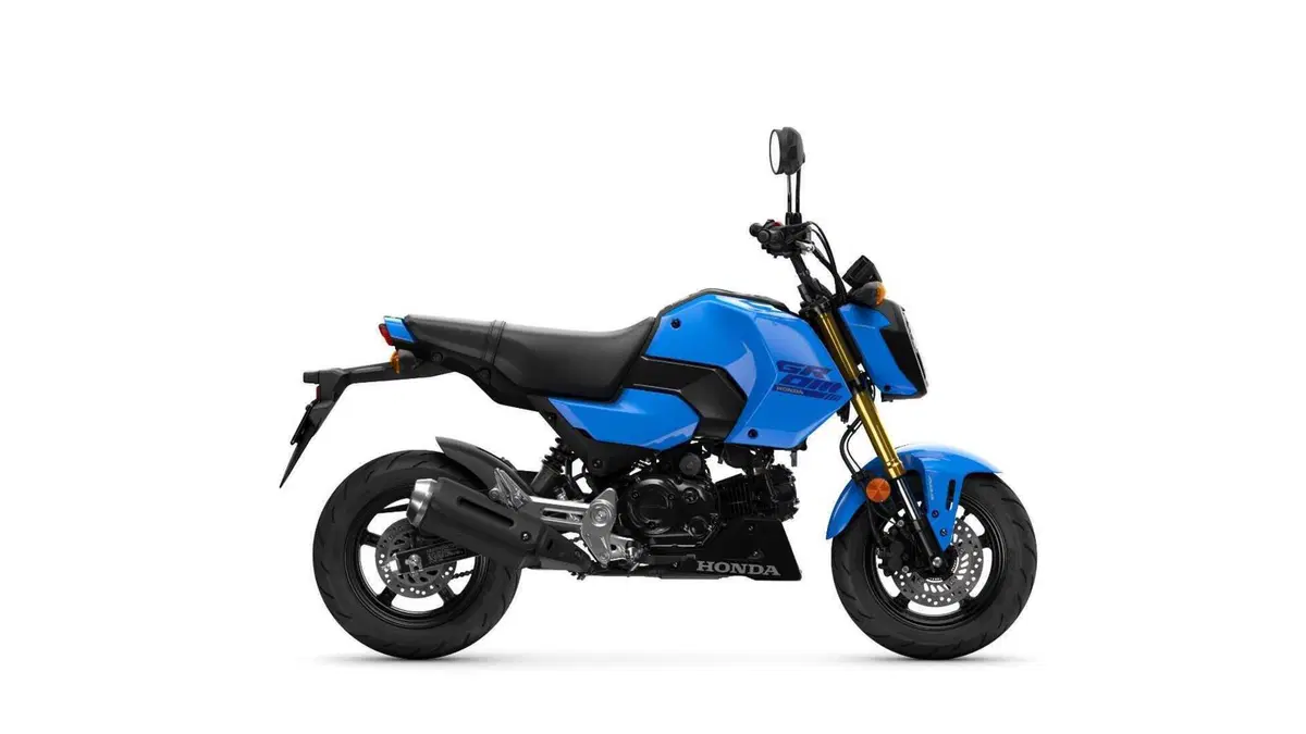 Honda MSX 125 MSX 125 Grom (2021 - 26) (4)