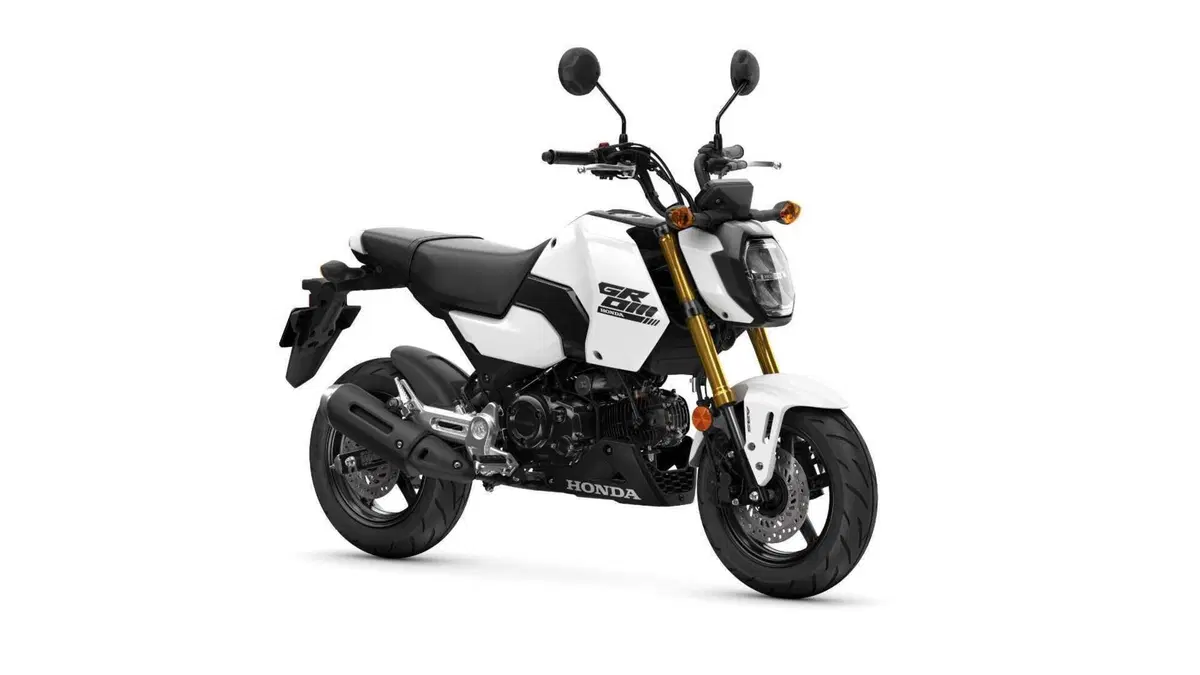 Honda MSX 125 MSX 125 Grom (2021 - 26) (5)