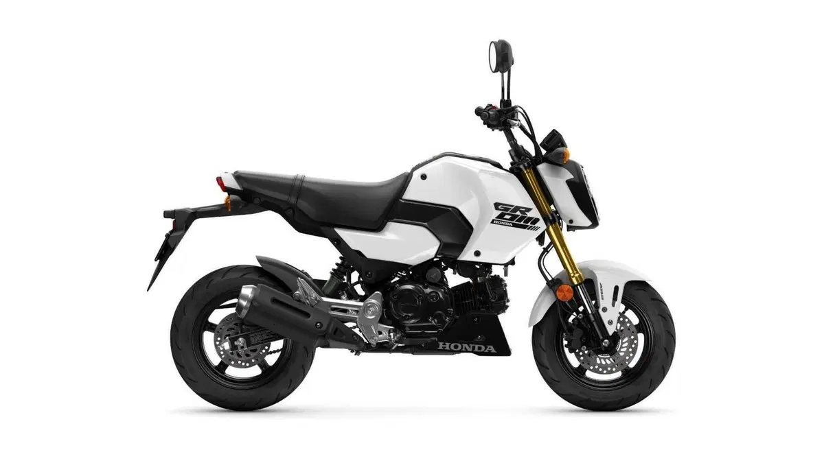 Honda MSX 125 MSX 125 Grom (2021 - 26) (6)