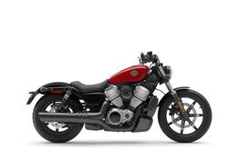 Harley-Davidson Nightster (2023 - 24) nuova