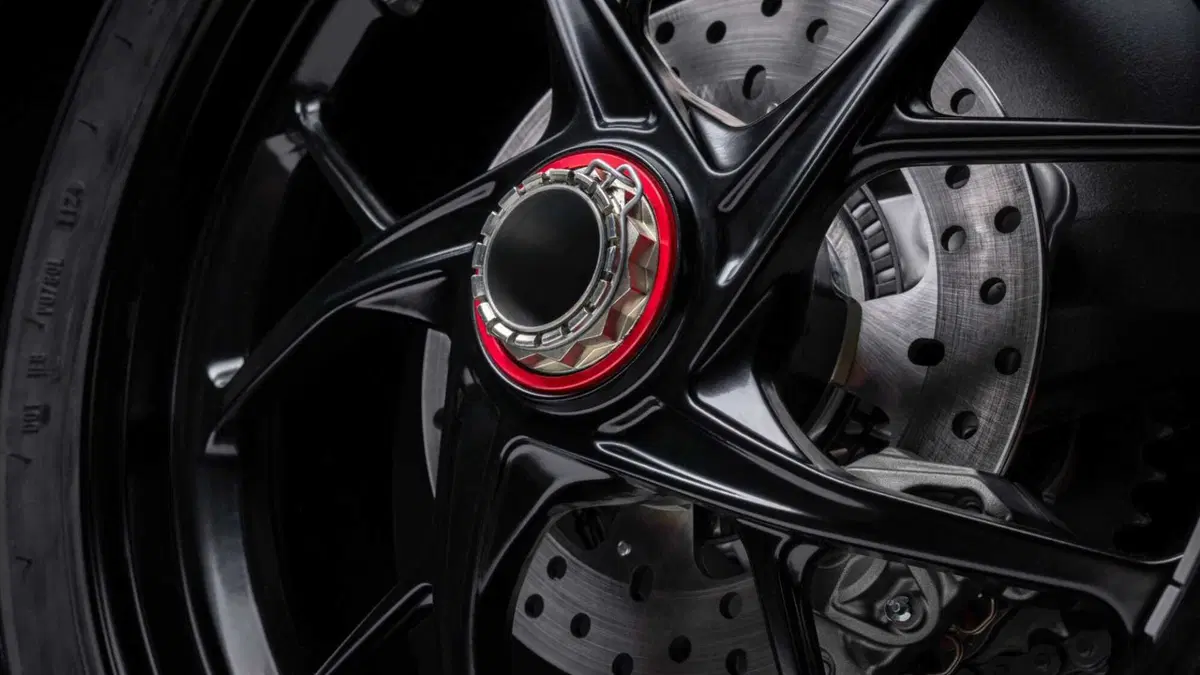 Ducati Panigale V2 Panigale V2 Superquadro Final Edition (2024) (10)