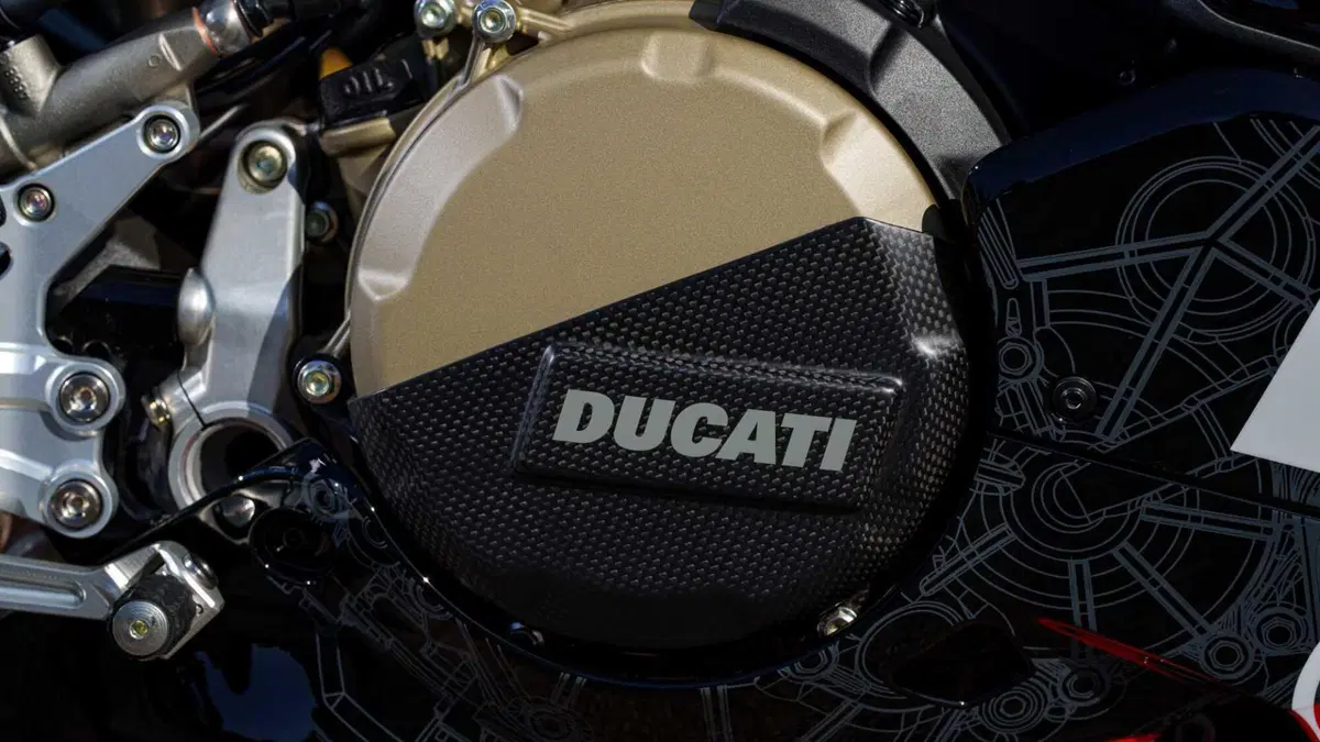 Ducati Panigale V2 Panigale V2 Superquadro Final Edition (2024) (11)