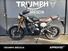 Triumph Scrambler 400 X (2024) (9)