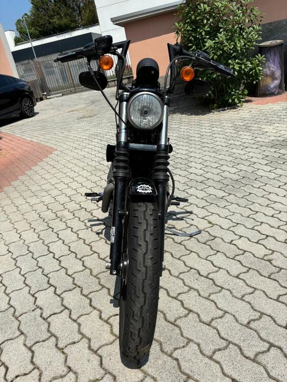 Harley-Davidson 1200 Nightster (2008 - 12) - XL 1200N (2)