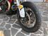Moto Guzzi V85 TT (2019 - 20) (13)