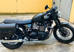 Triumph Bonneville T100 (2008 - 16) usata