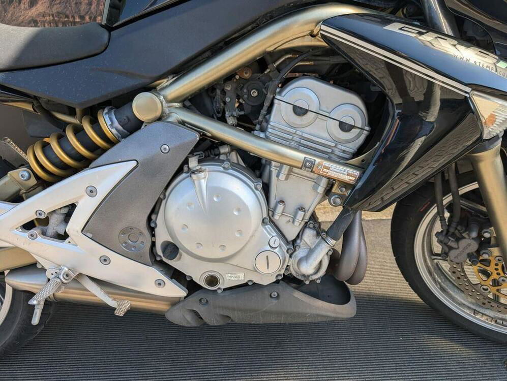 Kawasaki ER-6N (2005 - 08) (2)