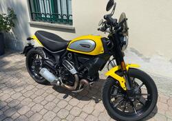 Ducati Scrambler 800 Icon (2017 - 2020) usata