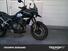 Triumph Tiger 900 GT (2020 - 23) (8)