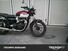 Triumph Bonneville T100 (2021 - 24) (8)