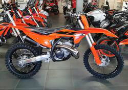 KTM SX 300 (2025) nuova