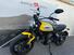 Ducati Scrambler 800 Icon (2017 - 20) (7)