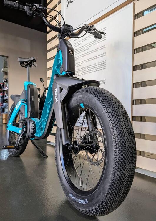  Altre moto o tipologie Elettrico (2)