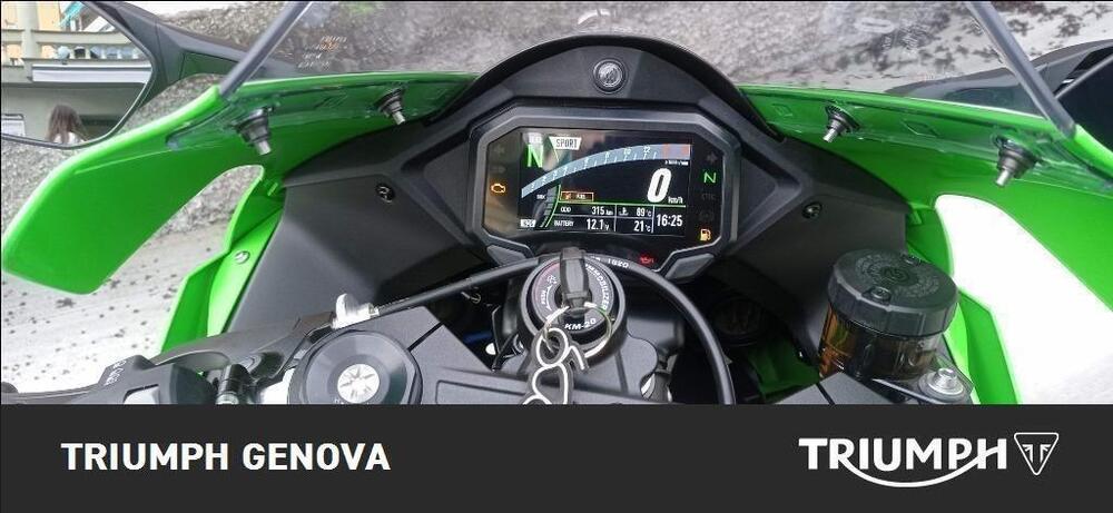 Kawasaki Ninja 1000 ZX-10RR (2021 - 23) (5)