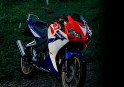 Honda CBR 125 R (2007 - 17) usata