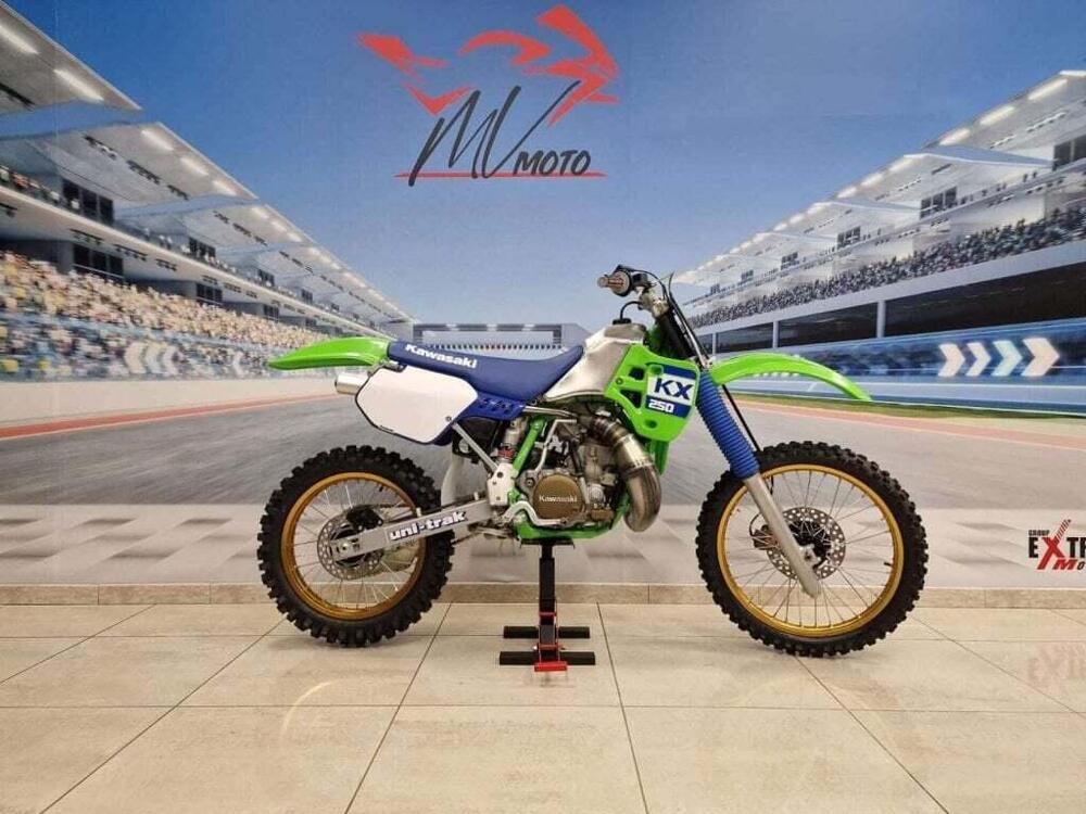 Kawasaki KX 250 (1994 - 01)