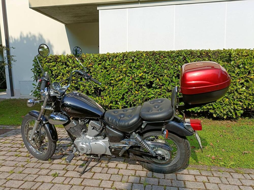 Yamaha XV 250 S Virago (1994 - 01) (3)