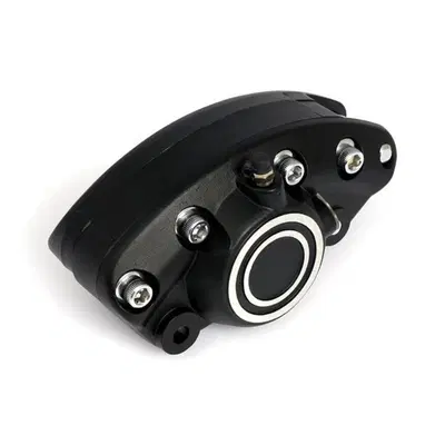 Pinza freno anteriore banana nera opaca per FL dal 