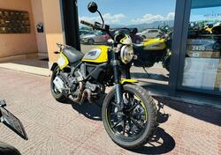 Ducati Scrambler 800 Icon (2015 - 16) usata