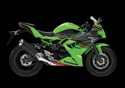 Kawasaki Ninja 125 (2021 - 24) nuova