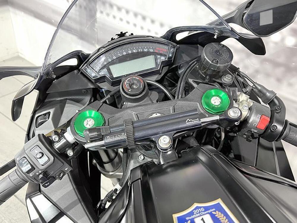 Kawasaki Ninja 1000 ZX-10RR (2019 - 20) (5)