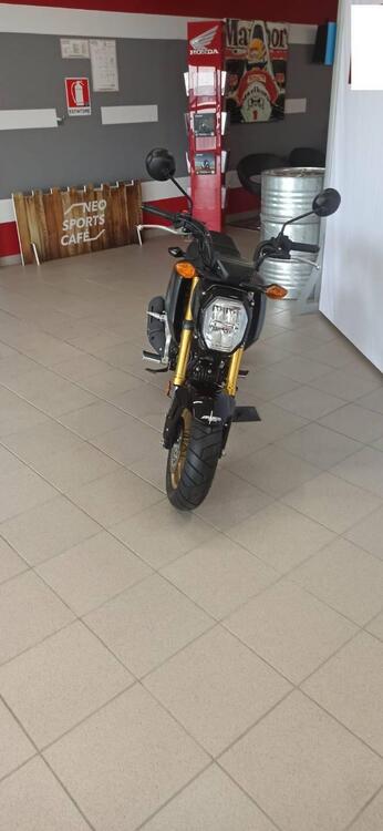 Honda MSX 125 Grom (2021 - 24) (4)