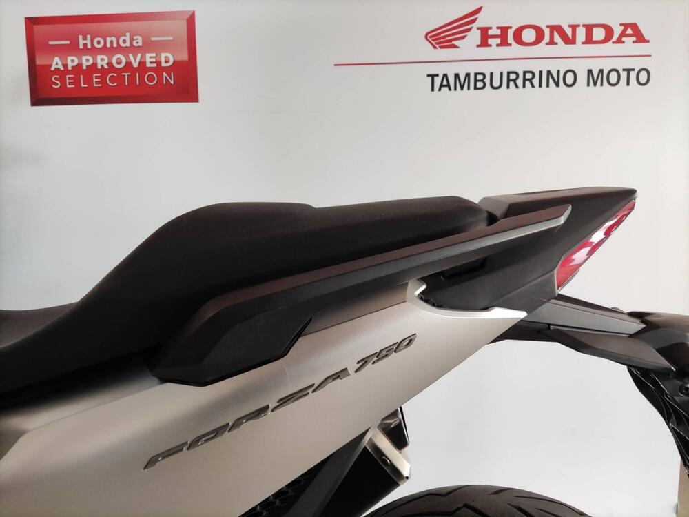 Honda Forza 750 DCT (2021 - 24) (4)