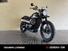 Triumph Street Scrambler 900 (2019 - 20) (7)