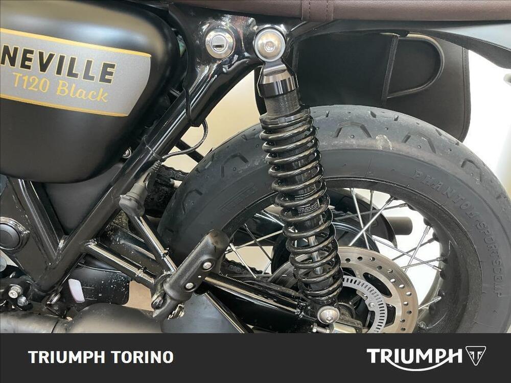 Triumph Bonneville T120 Gold Line Edition (2022 - 23) (2)