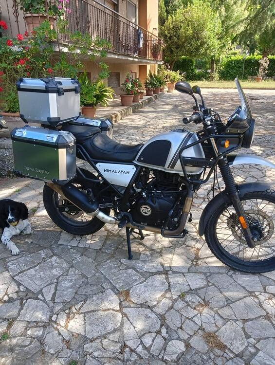 Royal Enfield Himalayan 411 (2021 - 24) (4)