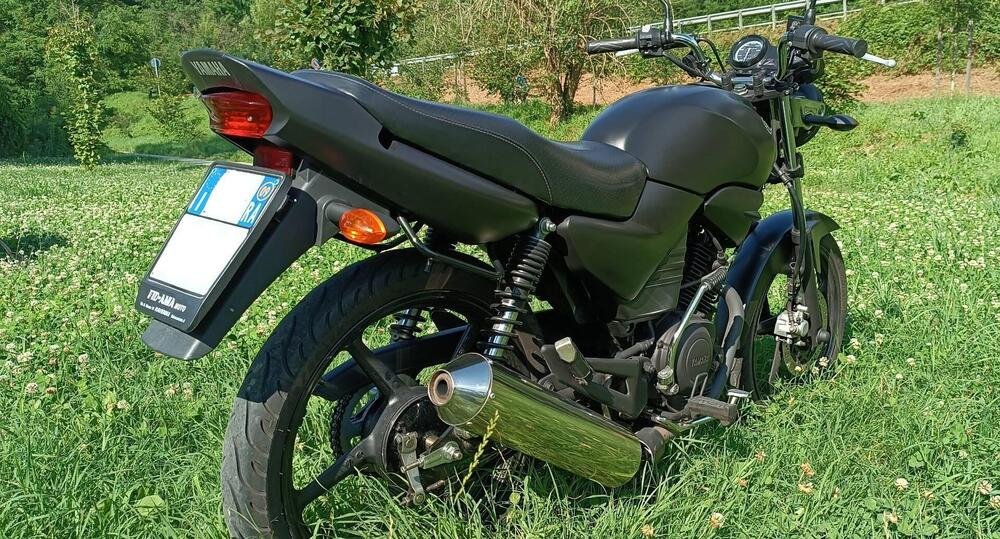 Yamaha YBR 125 (2005 - 09) (5)