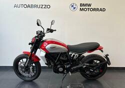 Ducati Scrambler 800 Icon (2023 - 24) usata