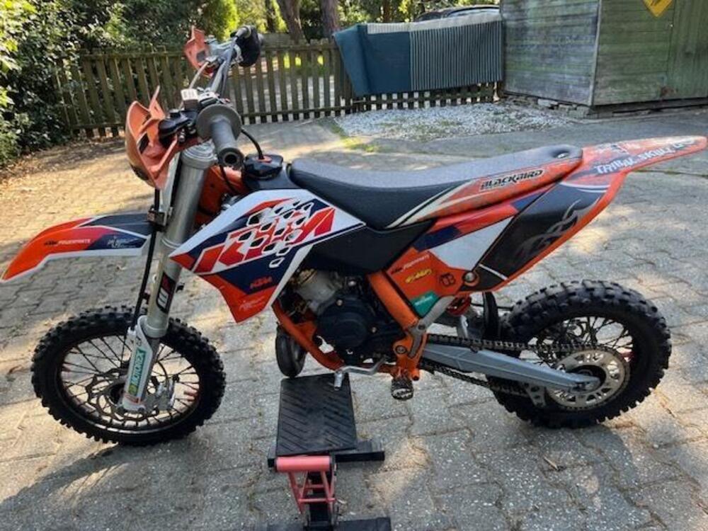 KTM SX 65 (2018) (3)