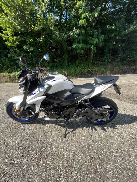 Suzuki GSX S 750 Yugen (2018 - 20) (4)