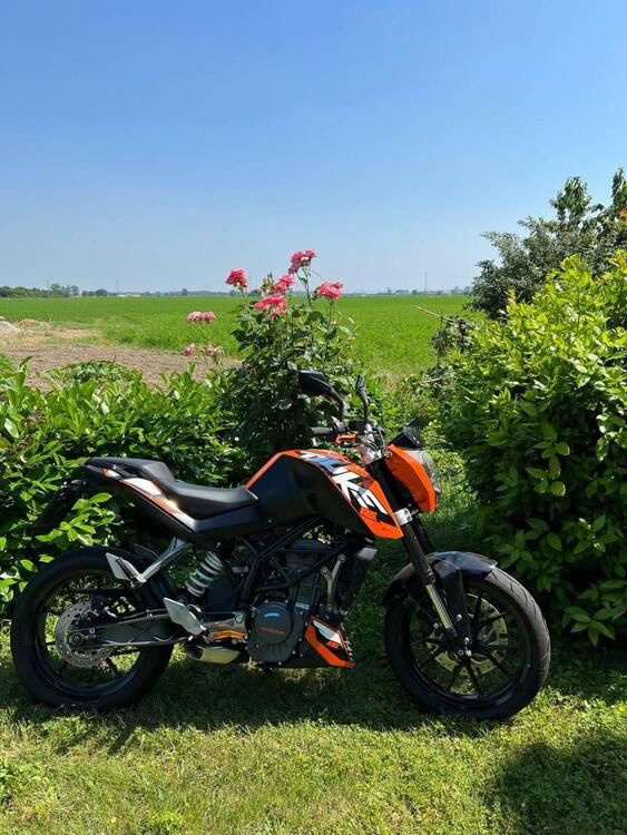 KTM 125 Duke ABS (2013 - 16) (2)