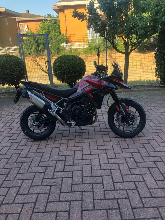 Triumph Tiger 900 GT (2024)