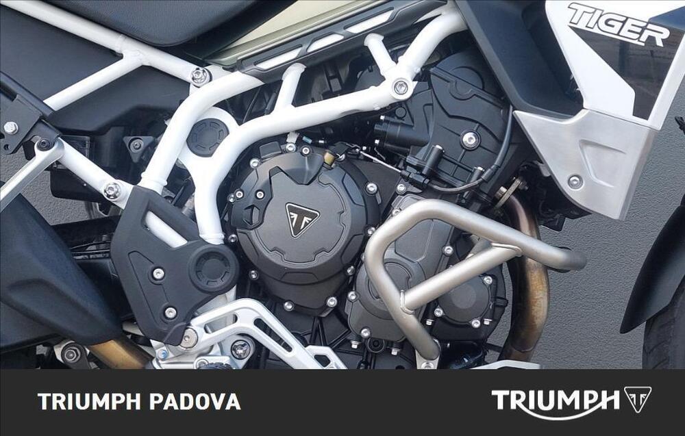 Triumph Tiger 900 Rally Pro (2020 - 23) (3)