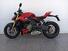 Ducati Streetfighter V4 S (2023 - 24) (8)